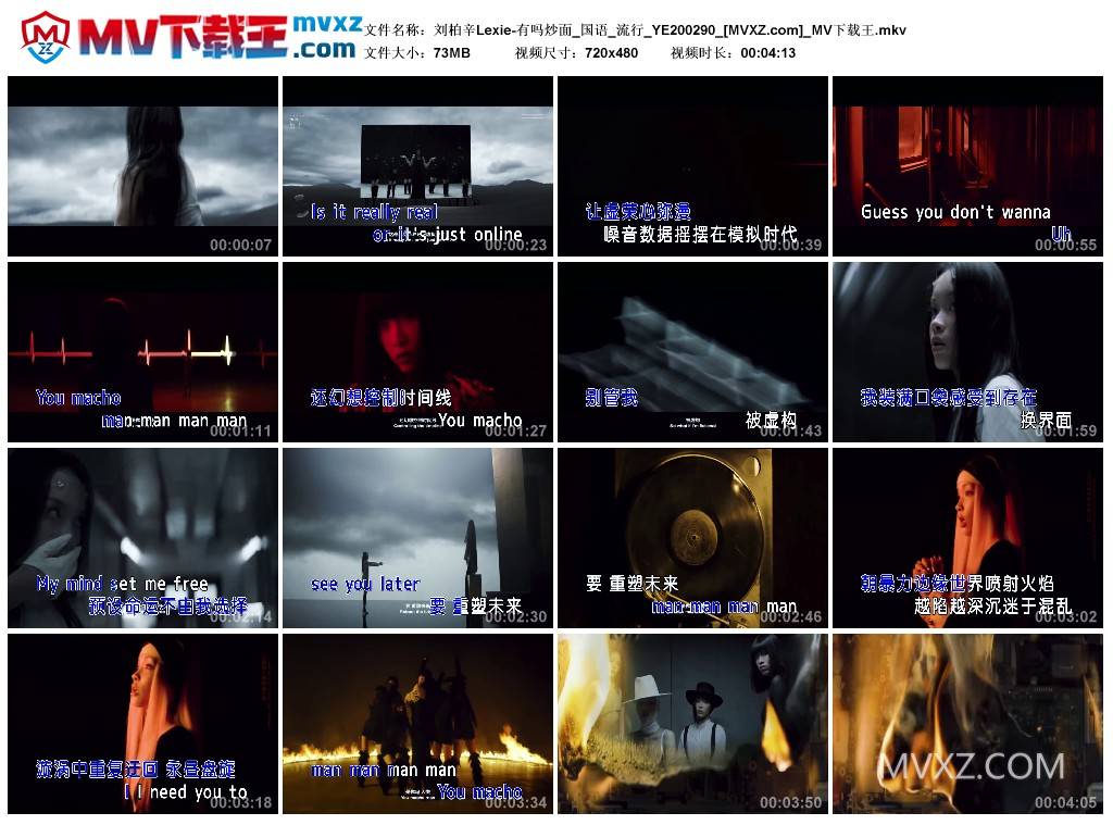 刘柏辛Lexie-有吗炒面_国语_流行_YE200290